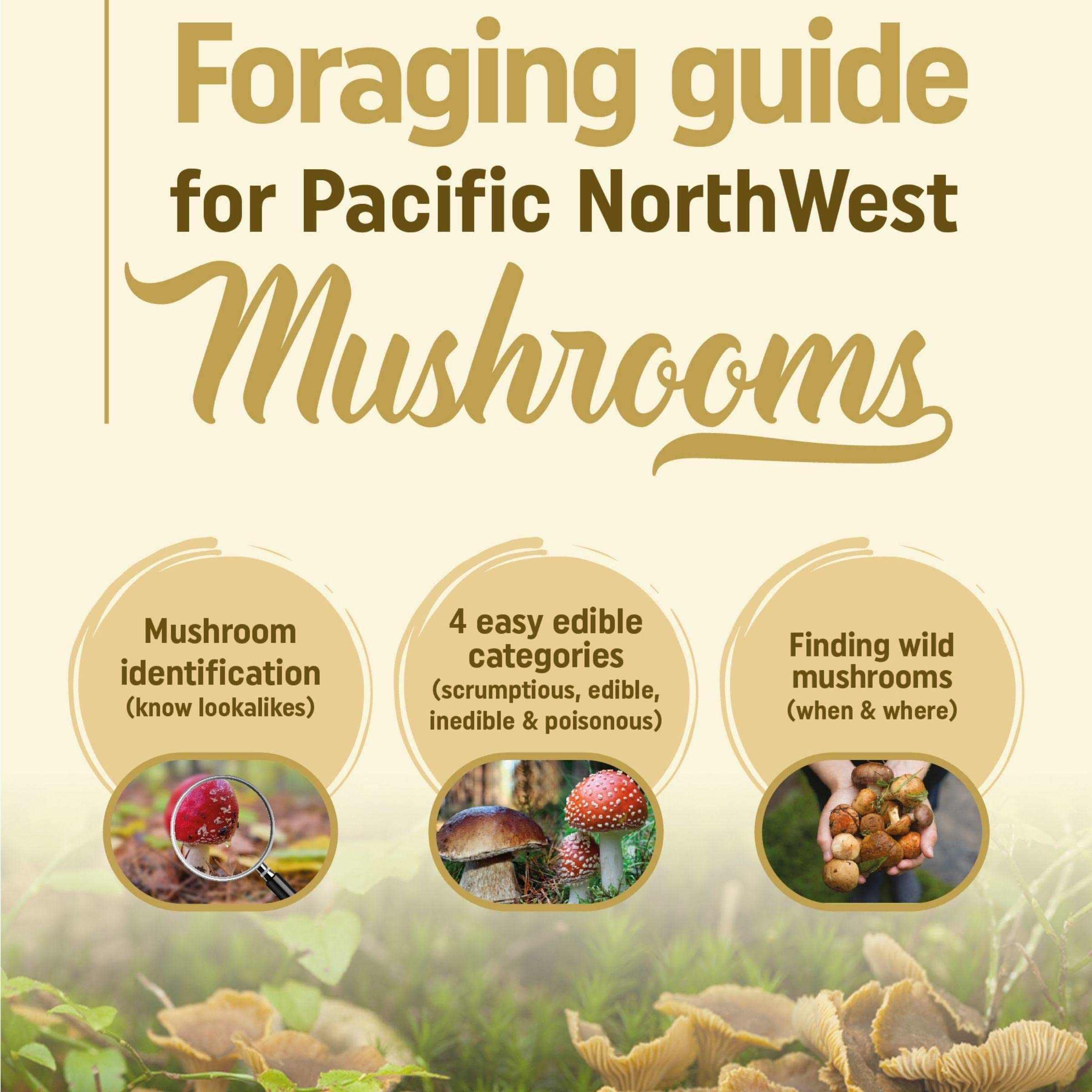 Buy Foraging Guide for Pacific Northwest Mushrooms Mushroom