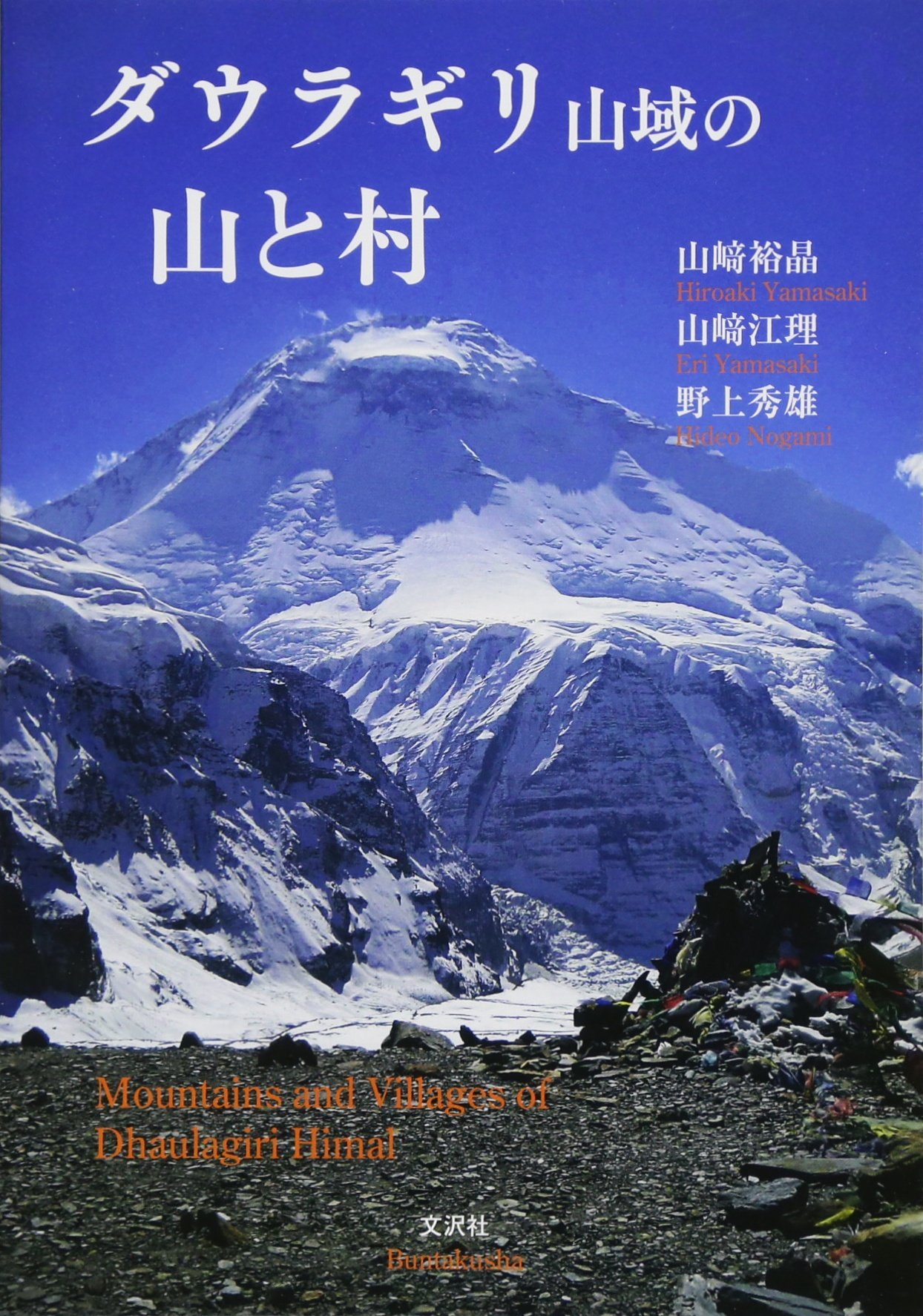 ダウラギリ産ポイント 37-2 ダウラギリ産ポイント 37-2
