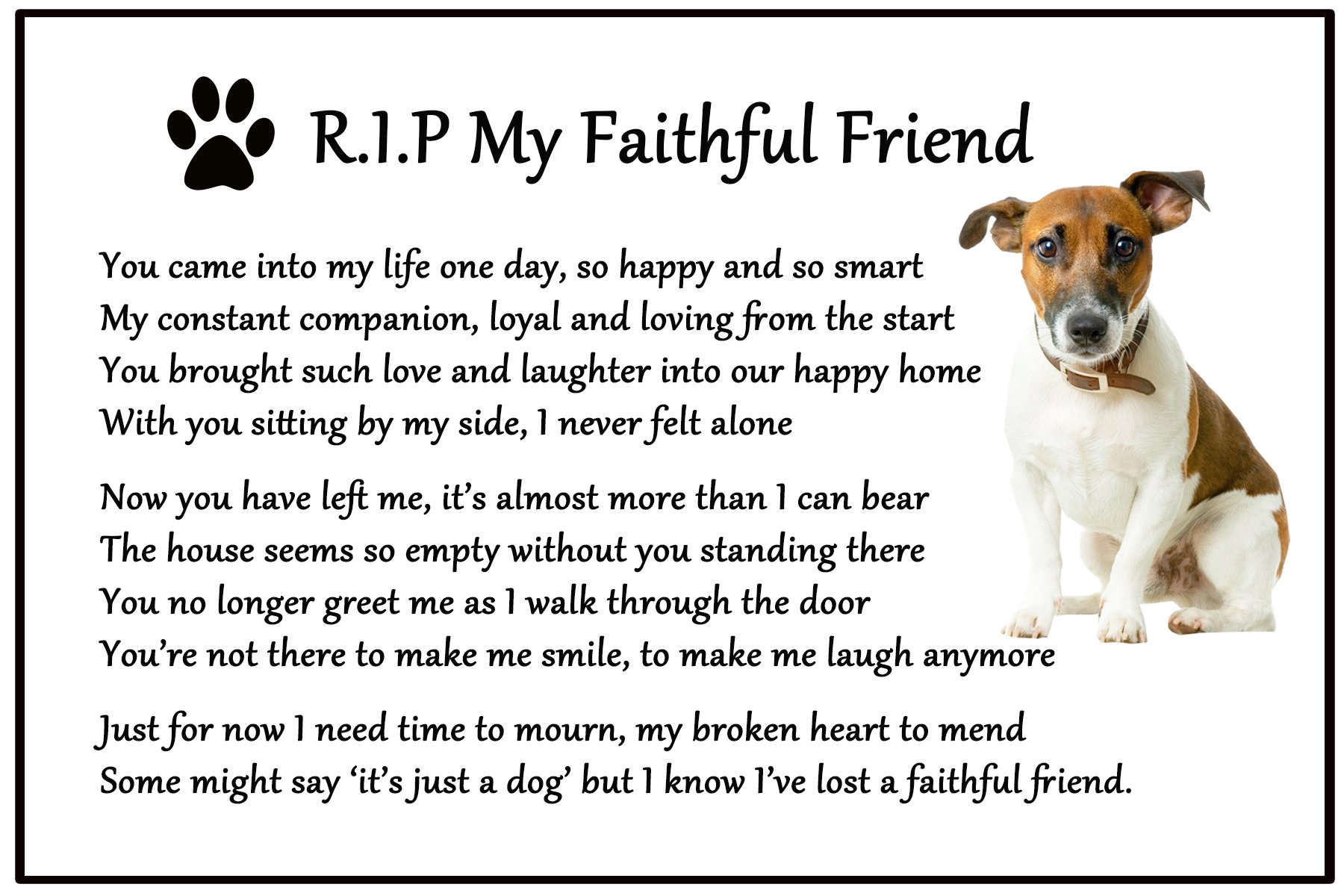 Jack Russell Terrier Dog Bereavement Gift Magnet - RIP My Faithful Friend - dog loss, sympathy, memorial Flexible Magnet 6" x 4"
