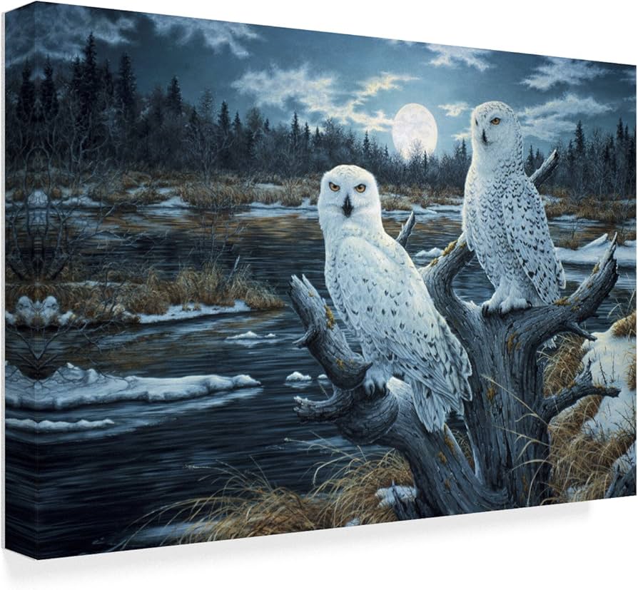 Amazon.co.jp: Jeff Tift作スノーウィーフクロウ、22x32インチ