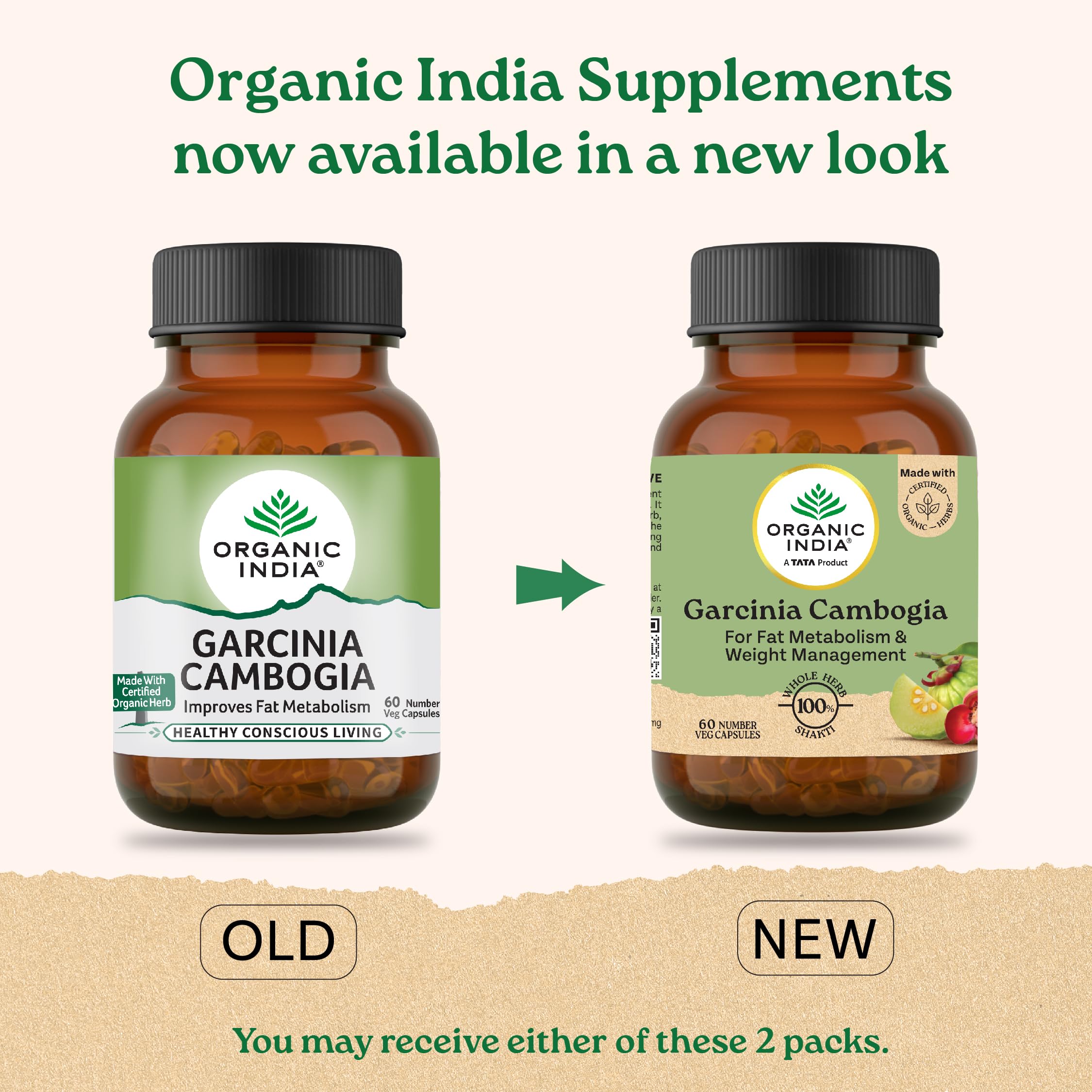 A TATA Product - Organic India Garcinia Cambogia - 60 Veg Capsules, Improves Fat Metabolism, Lean Muscle Development, Boosts Energy, Enhances Immunity, & Helps Weight Management, GMP & NPOP Certified