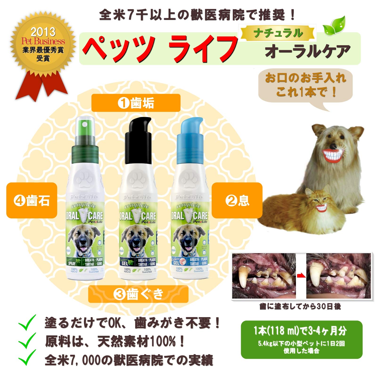 ぐら！D+pets Oral Care+ デンタルケア用品 ぐら！D+pets Oral Care+ デンタルケア用品 D+pets OralForce