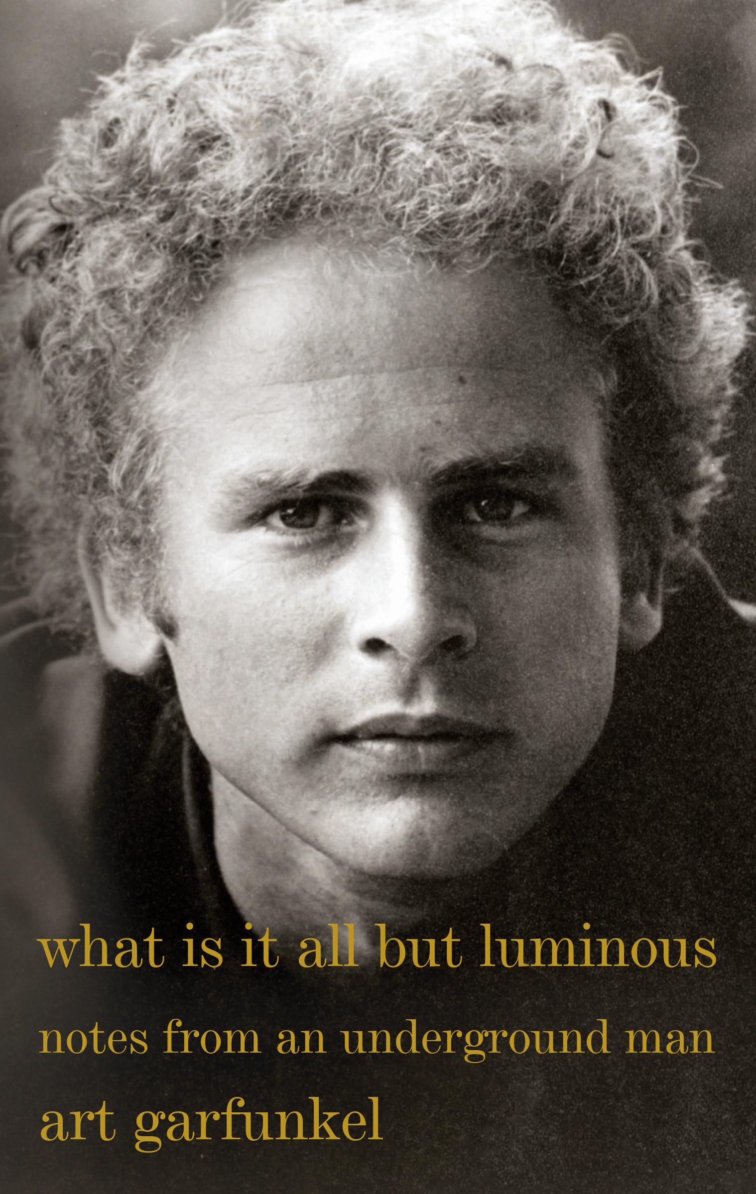 What Is It All But Luminous