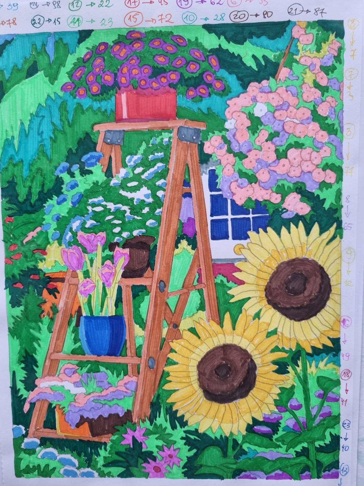Creative Haven Glorious Gardens Color by Number Coloring Book ...