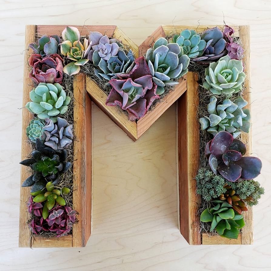 FB◯●植木屋ページ●◯ Amazon.co.jp: Walbest イニシャルレター植木鉢 屋内屋外植物用