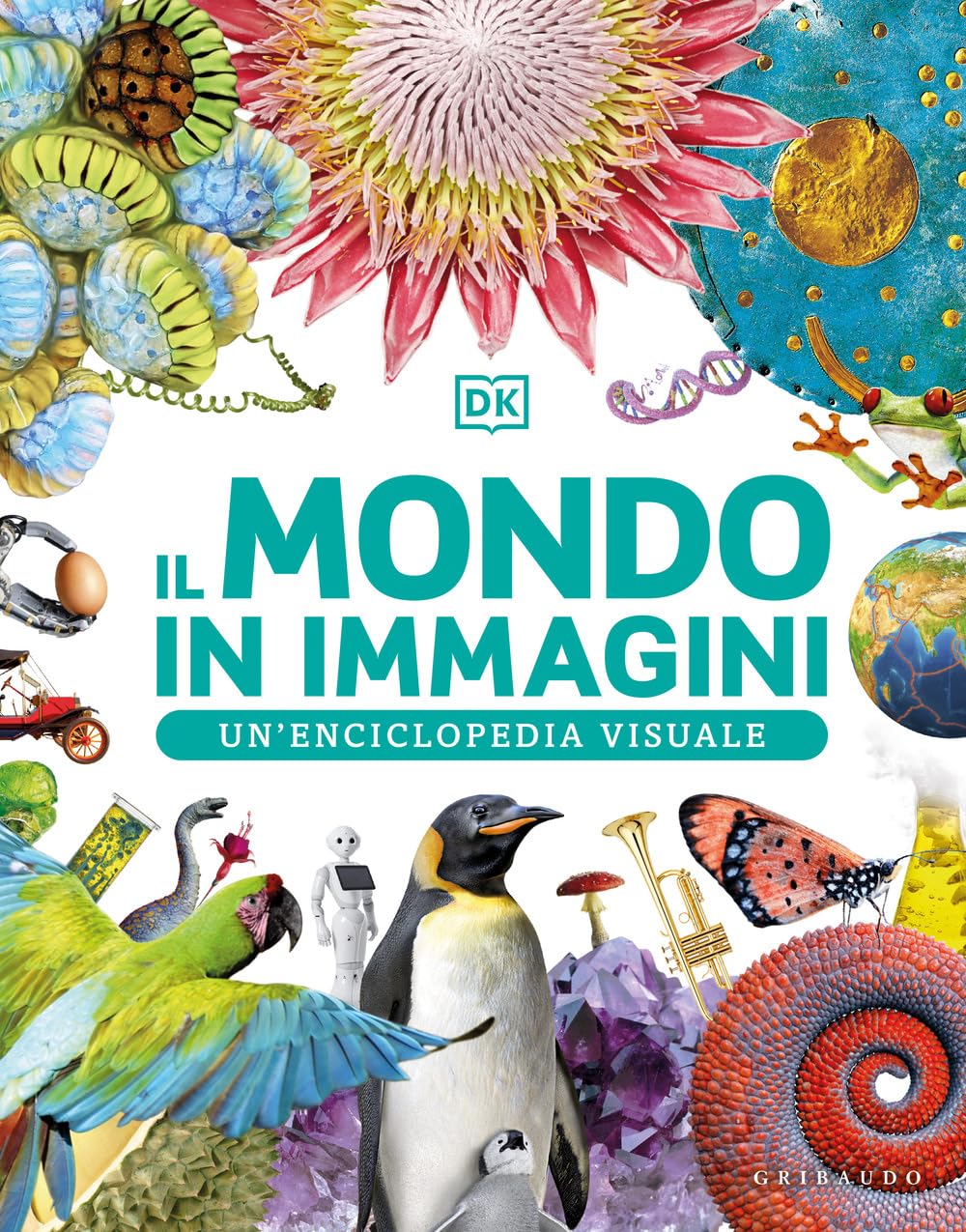 Il Mondo In Immagini. Un’Enciclopedia Visuale. Ediz. Illustrata - 4
