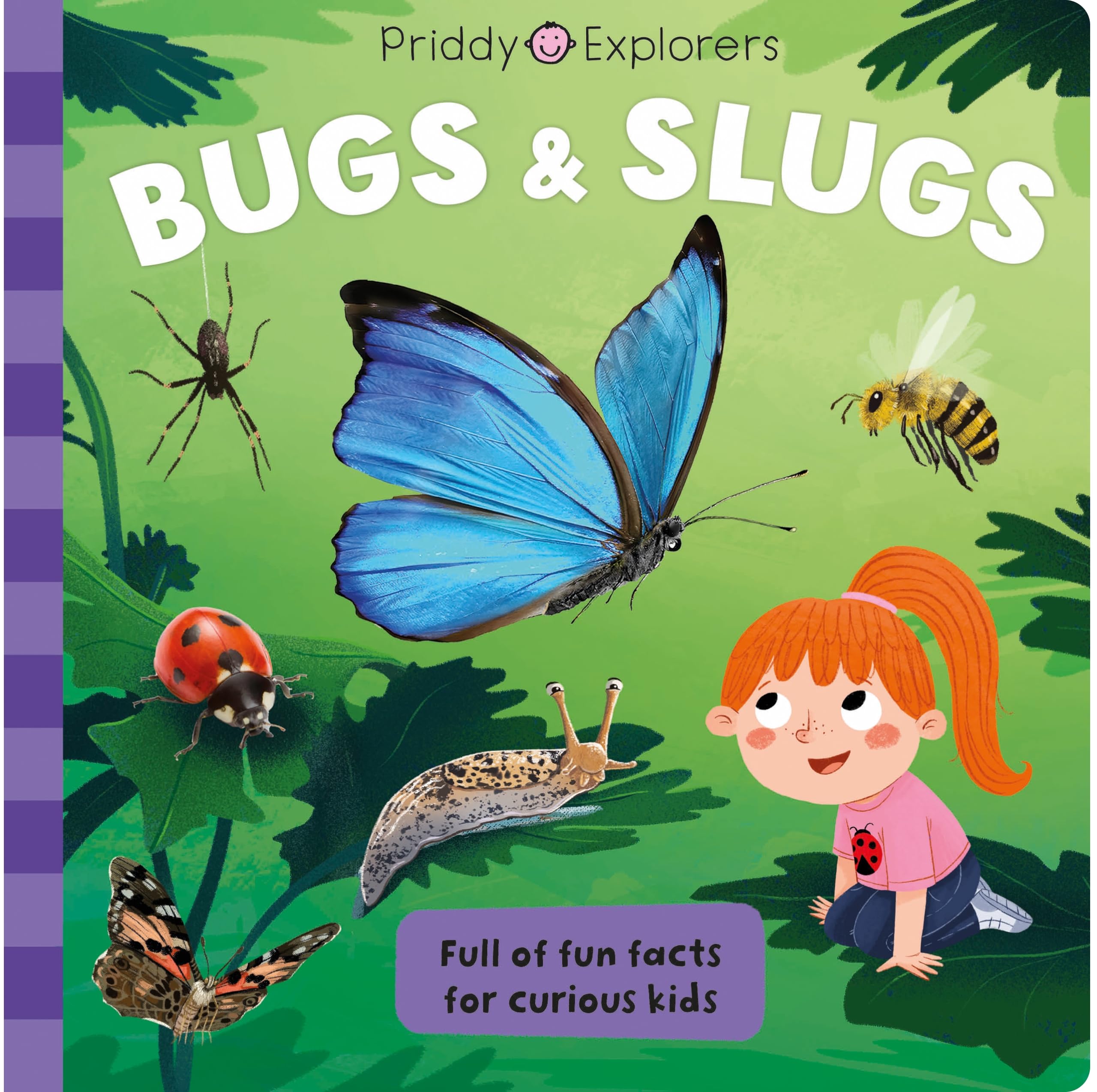 Priddy Explorers Bugs & Slugs by Priddy Books, Roger Priddy - 9781838993221