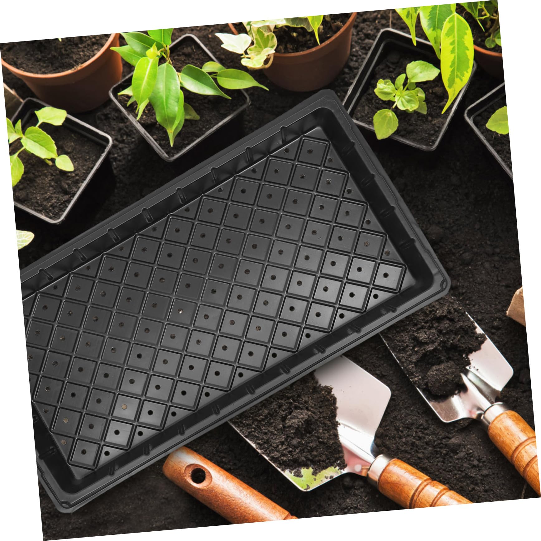 BESPORTBLE Plateau de Semis de Germination 5 Pièces en Plastique Noir