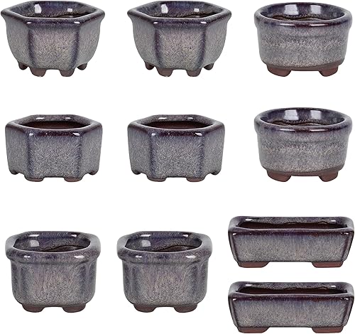 Maceta Bonsai Suculenta 1.8"(4.5cm) 10 Mini Macetas Esmaltadas