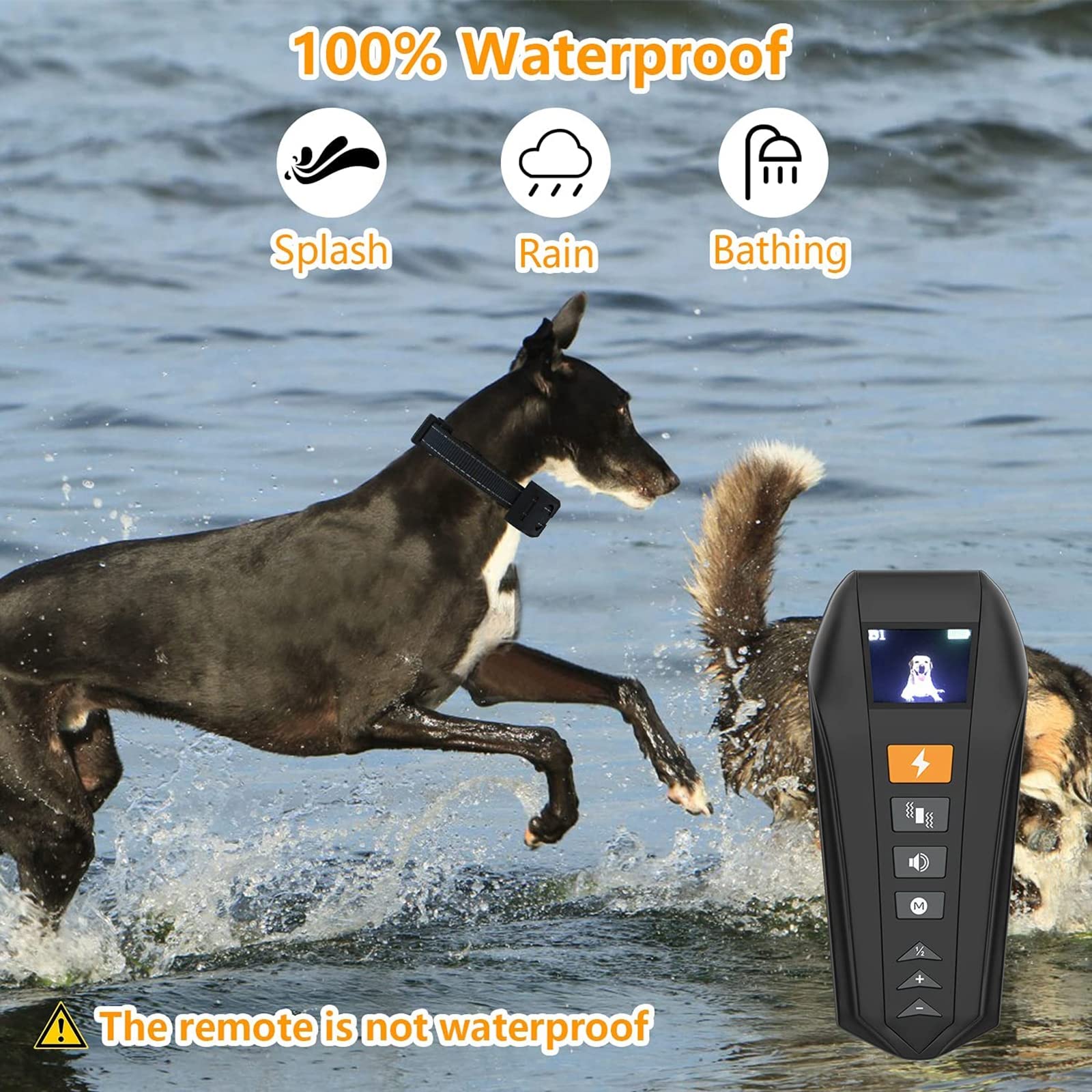 Collare, Imbracatura E Guinzaglio Per Addestramento Ed Educazione Del - Foto 3