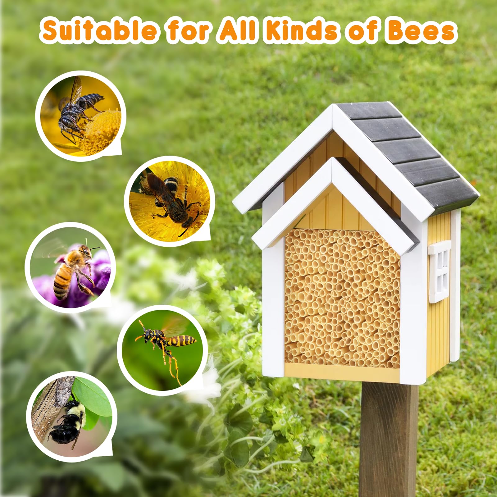 Kit Hotel de Insectos 300 Piezas - Pajitas de Trigo Tubos Nidos 14.5 cm para Abejas, Mariposas y Otros