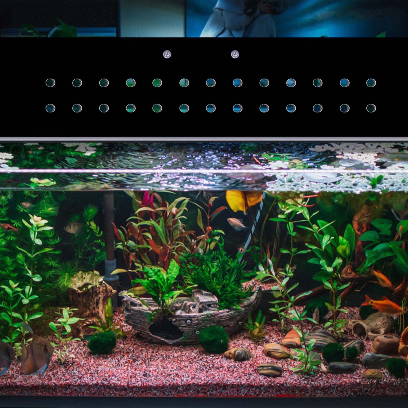 Sieral Ensemble d'auvent en polycarbonate pour aquarium de 49,37 x 24 x 0,3 cm pour aquarium de 36,5 x 20 l sans support central - Couvercle d'aquarium avec couteau à crochet, trou respirant, poignée