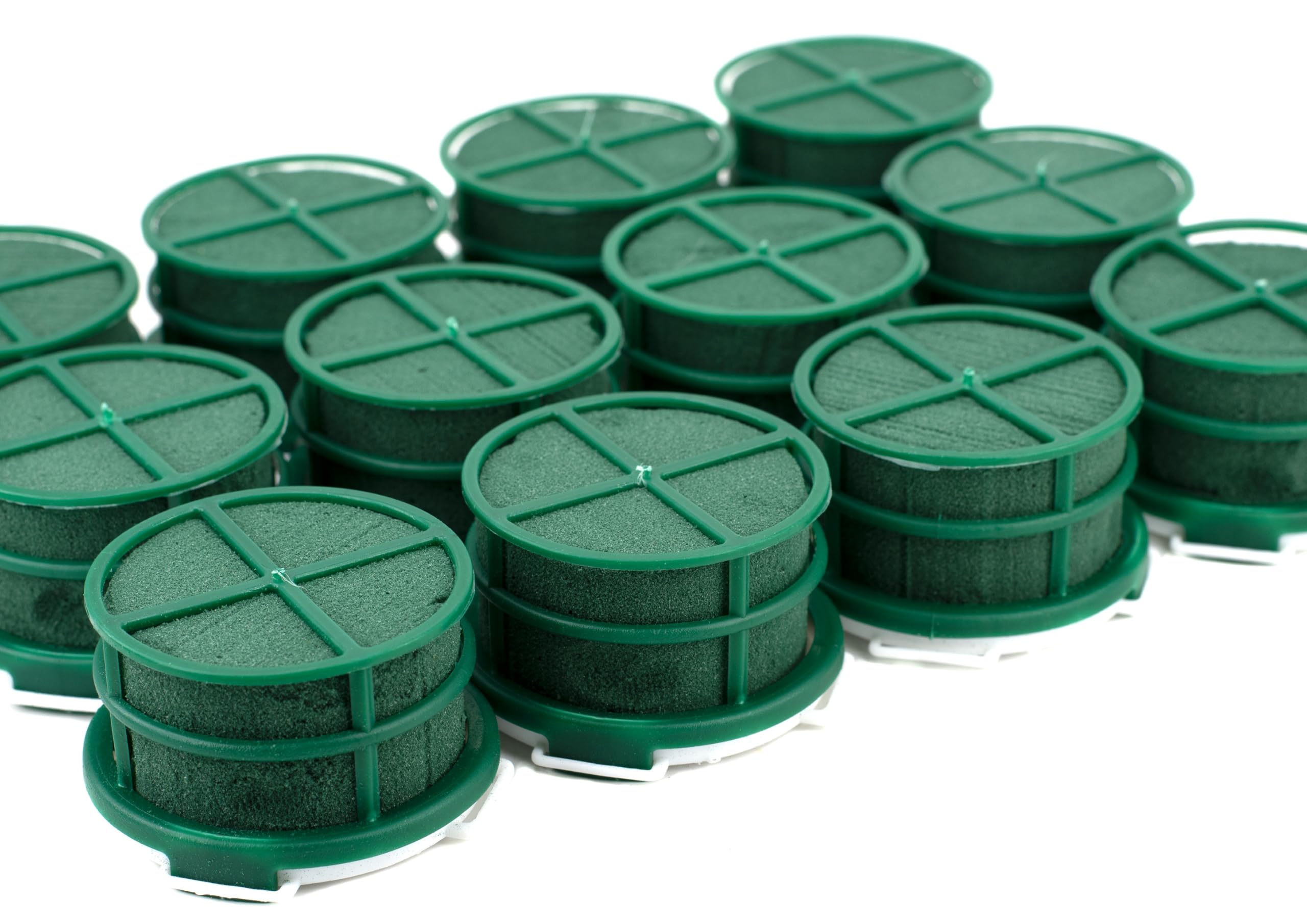 Schiuma bagnata, rotonda, 5 x 4 cm, autoadesiva, con griglia, 12 pezzi – per fioristi e hobbisti – Spugna per fiori freschi – Pasta per fiori – Accessori floreali & forniture floreali verde