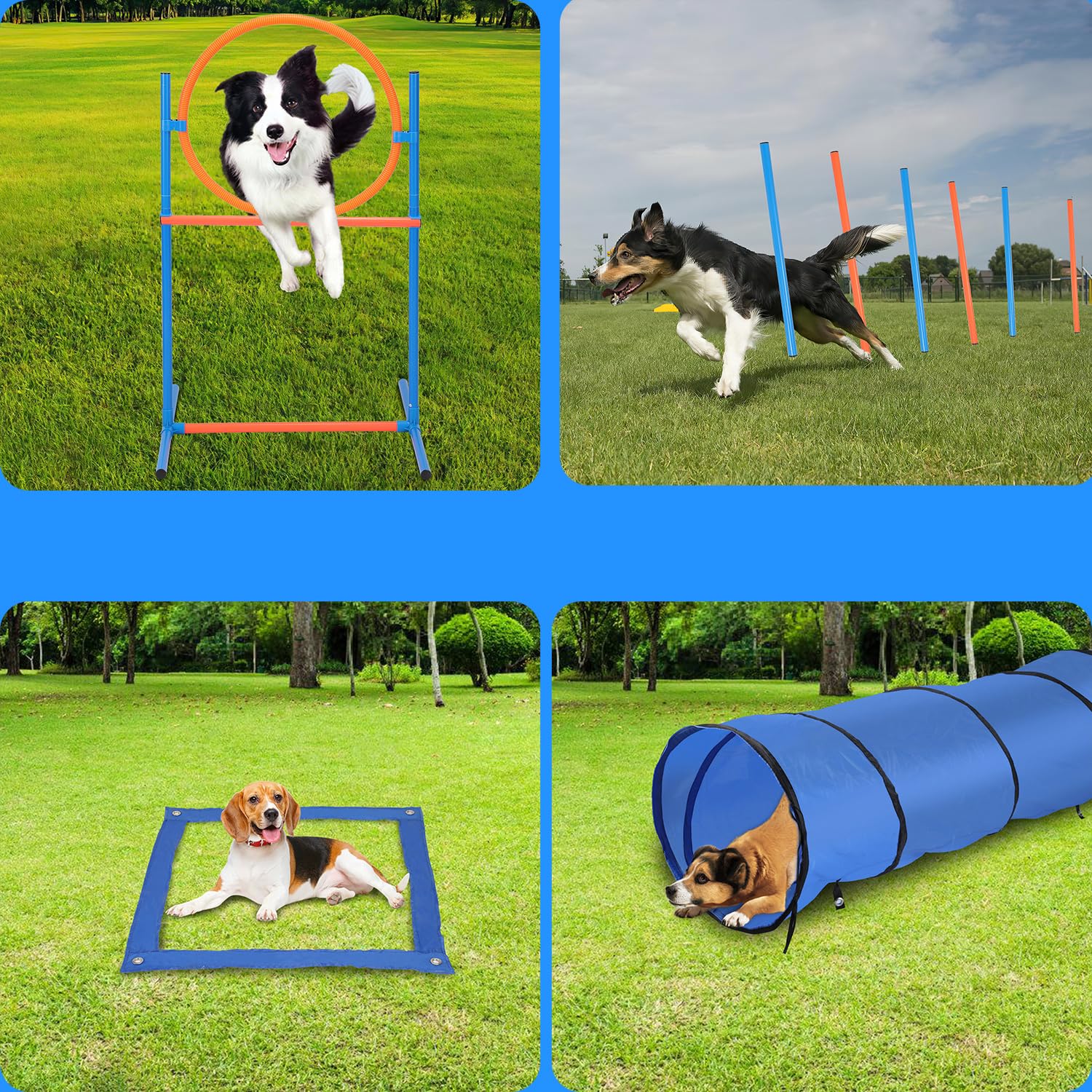 Agility Set Hunde, 5-teilig für Hundetraining & Freizeit | Zubehör umfasst Sprungring, Sprungstange, Tunnel, Slalomstangen, Pausenmarkierung, Ball, Pfeife und Transporttasche