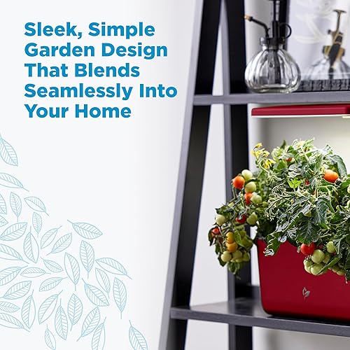 Miniatura 3 de AeroGarden Harvest Lite en color rojo cereza, jardín hidropónico interior sin tierra con luz LED de cultivo para jardinería durante todo el año de