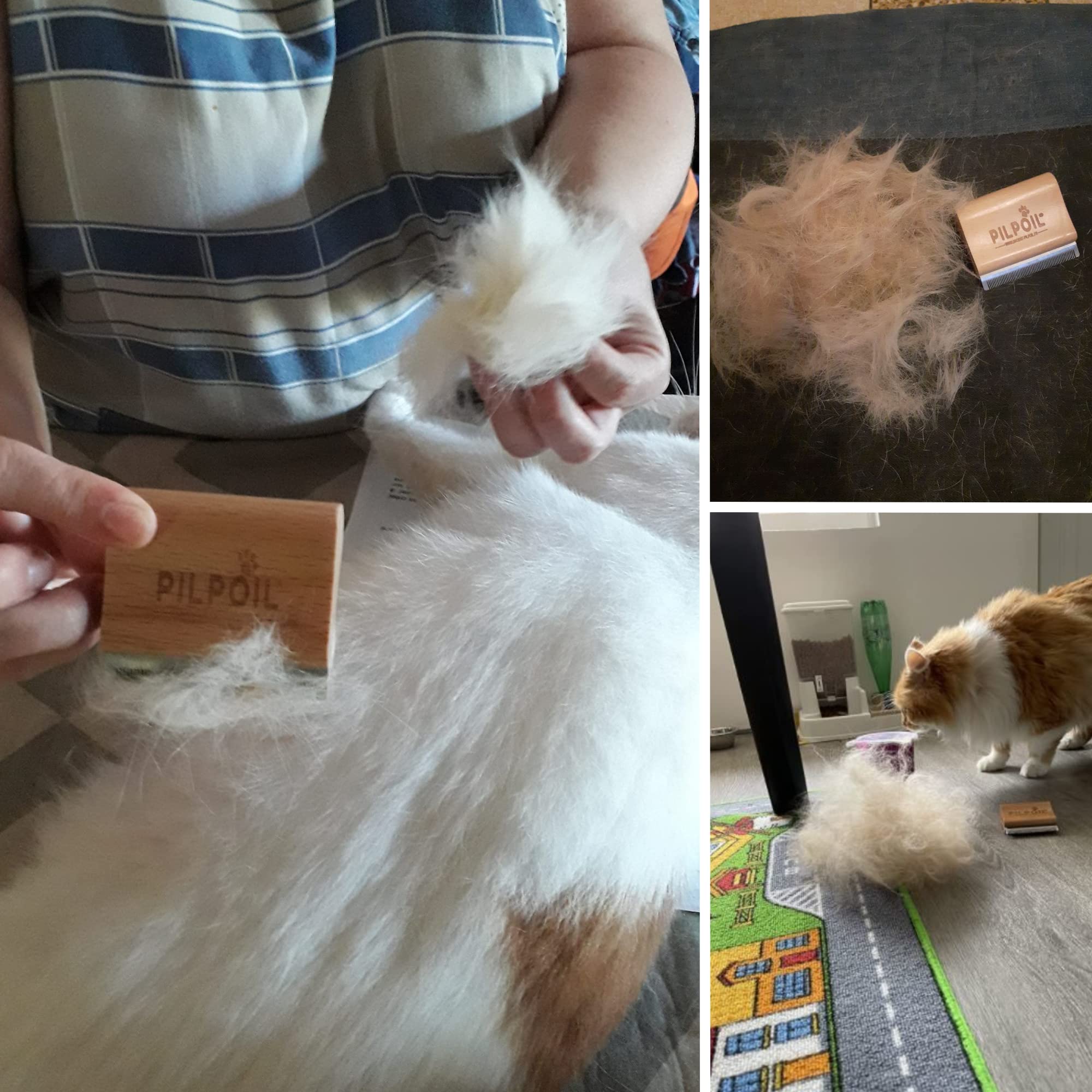 Pilpoil Pack Pro – Brosse Anti-Mue pour Chat et Lapin Poil Court en Bois + Raclette Anti-Poils Animaux – Accessoire de Toilettage – Taille S