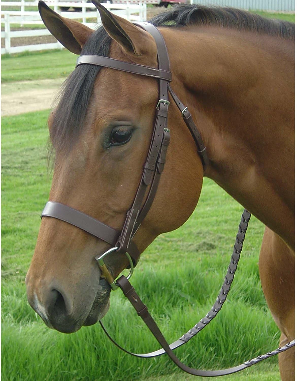 Classic Flat Leather English Hunt Bridle with 3/4" Wide Laced Reins, Stainless Steel Hardware, Heavy Duty.