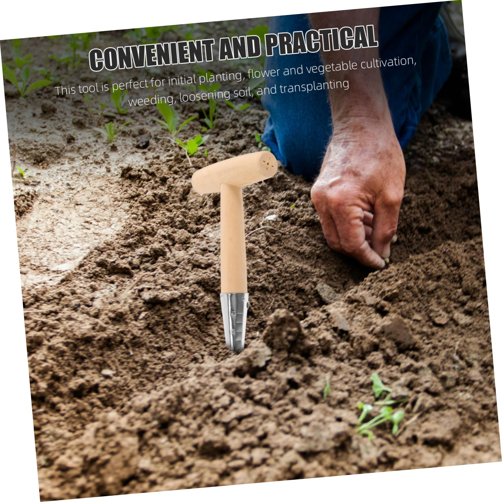 PartyKindom 5 Pezzi Dibber Inossidabile con Utensile per Scavare e Strumento Pratico per Giardinaggio e Trapianto Piante