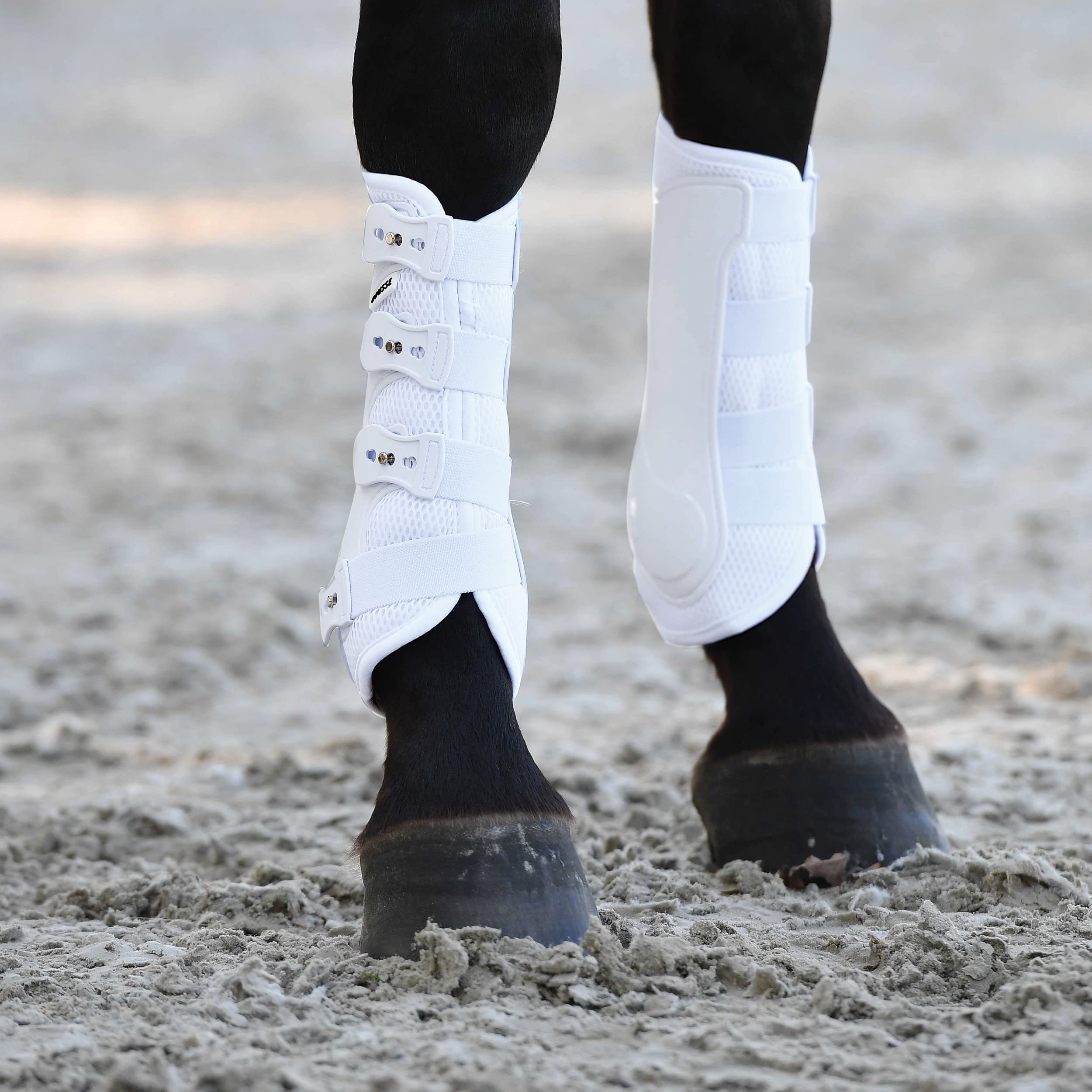 Busse Gamaschen Dressage-PRO-MESH weiß Dressurgamasche stabile Hartschale