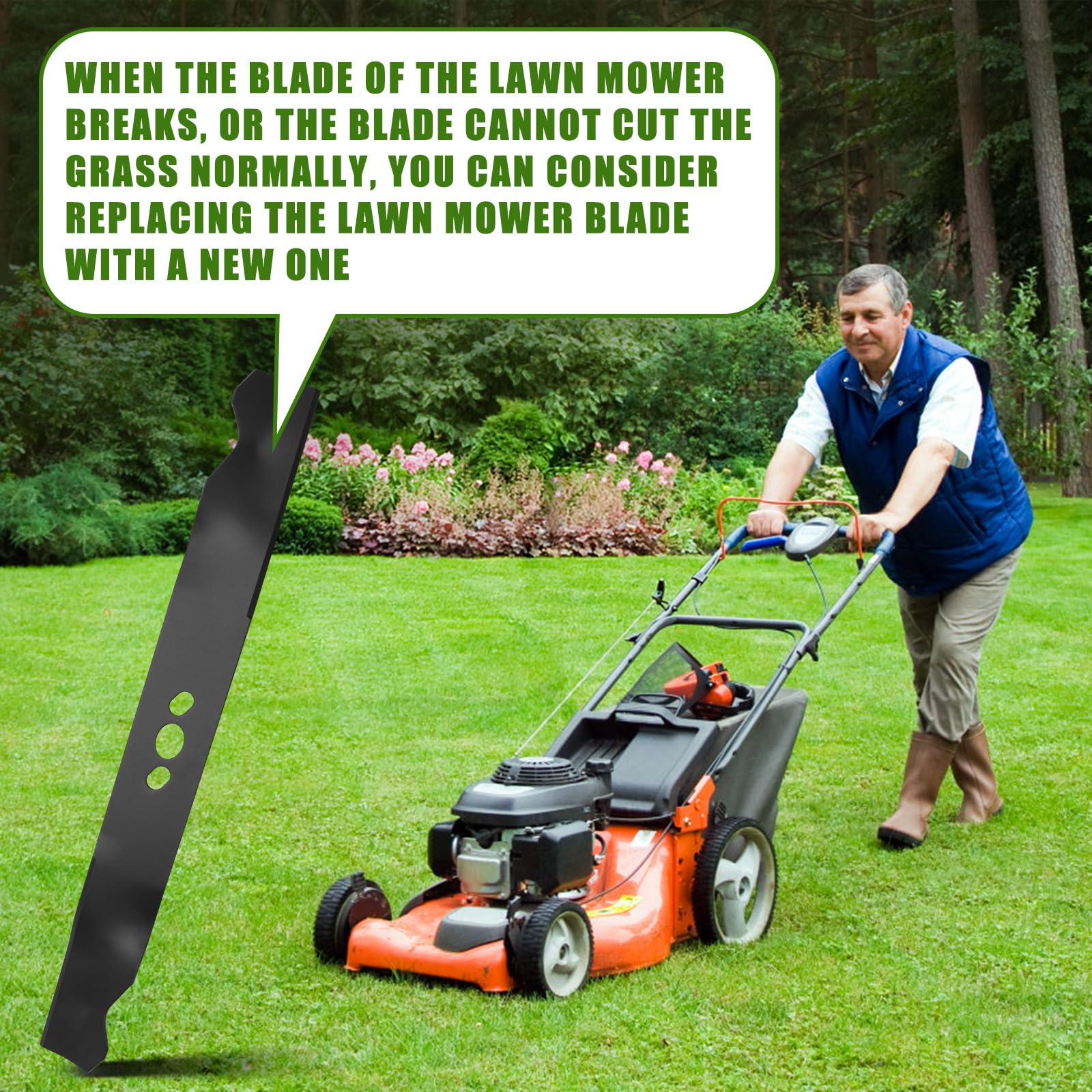 https://m.media-amazon.com/images/I/81NsKQyh8mL.jpg