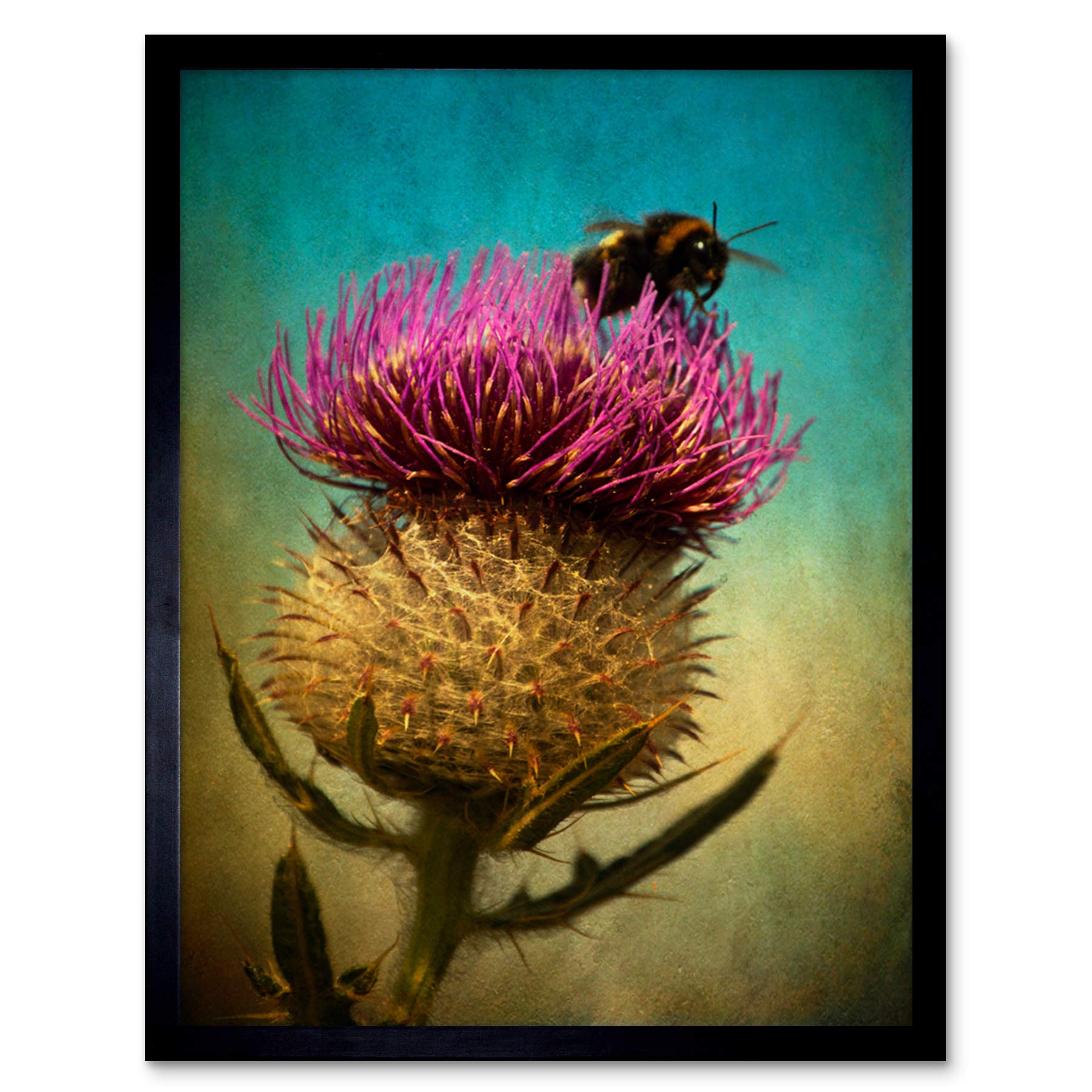 Wee Blue Coo Bumble Bee and Thistle Art Print Framed Poster Wall Decor 12x16 inch