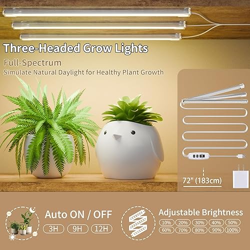 Miniatura 3 de Soporte para plantas de 8 niveles con luces de crecimiento, estante interior de 62 pulgadas de alto para múltiples plantas, estante de metal en