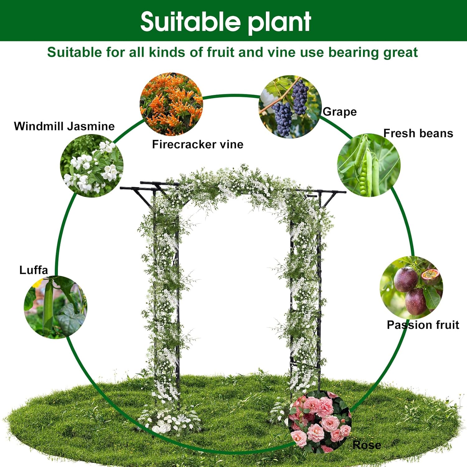 Lalahoni Garden Arbor, Arch for Wedding Ceremony Party Decoration Plant Climbing Rose Vines Lawn Courtyard Patio Black