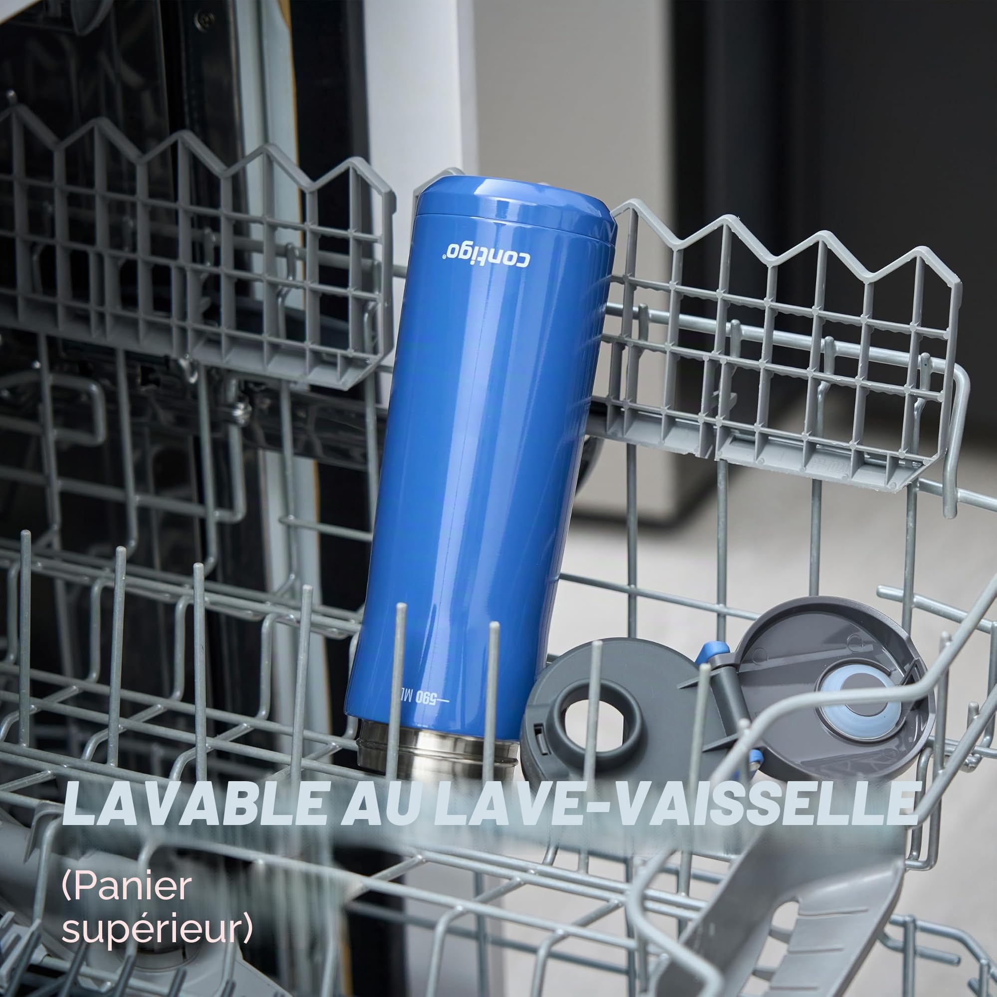 Contigo Jackson Chill Autopop Gourde Sport | Inox | Chaud 24h | 590ml