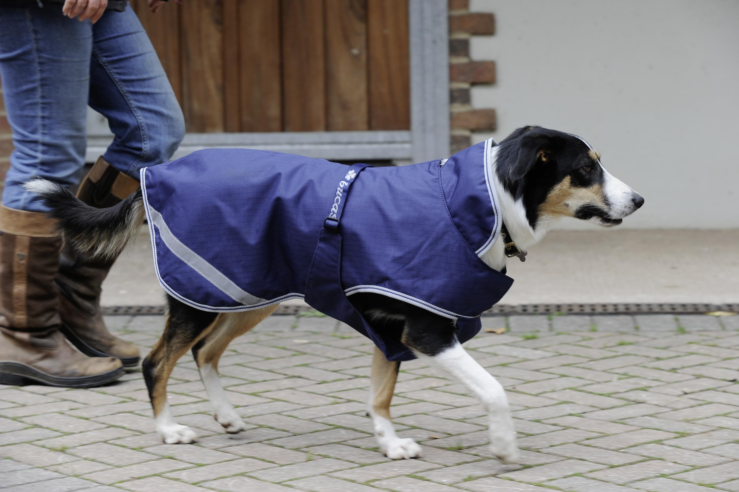 Bucas Hundemantel Freedom, Blau, Größe XXL, Länge 60 cm, Halsumfang 64 cm