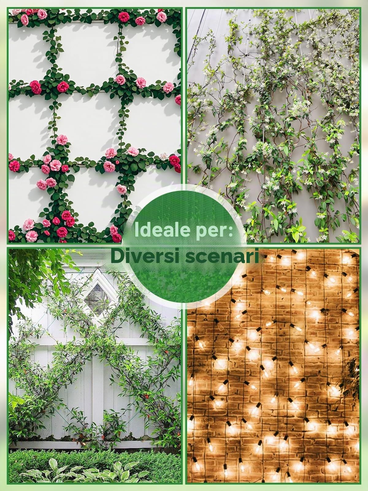 TOROKOM 185PZ Kit Tralicci da Giardino 30m per Piante Rampicanti, Acciaio Inox T316 Resistente, Sistema di Sostegno a Parete per Fiori e Viti