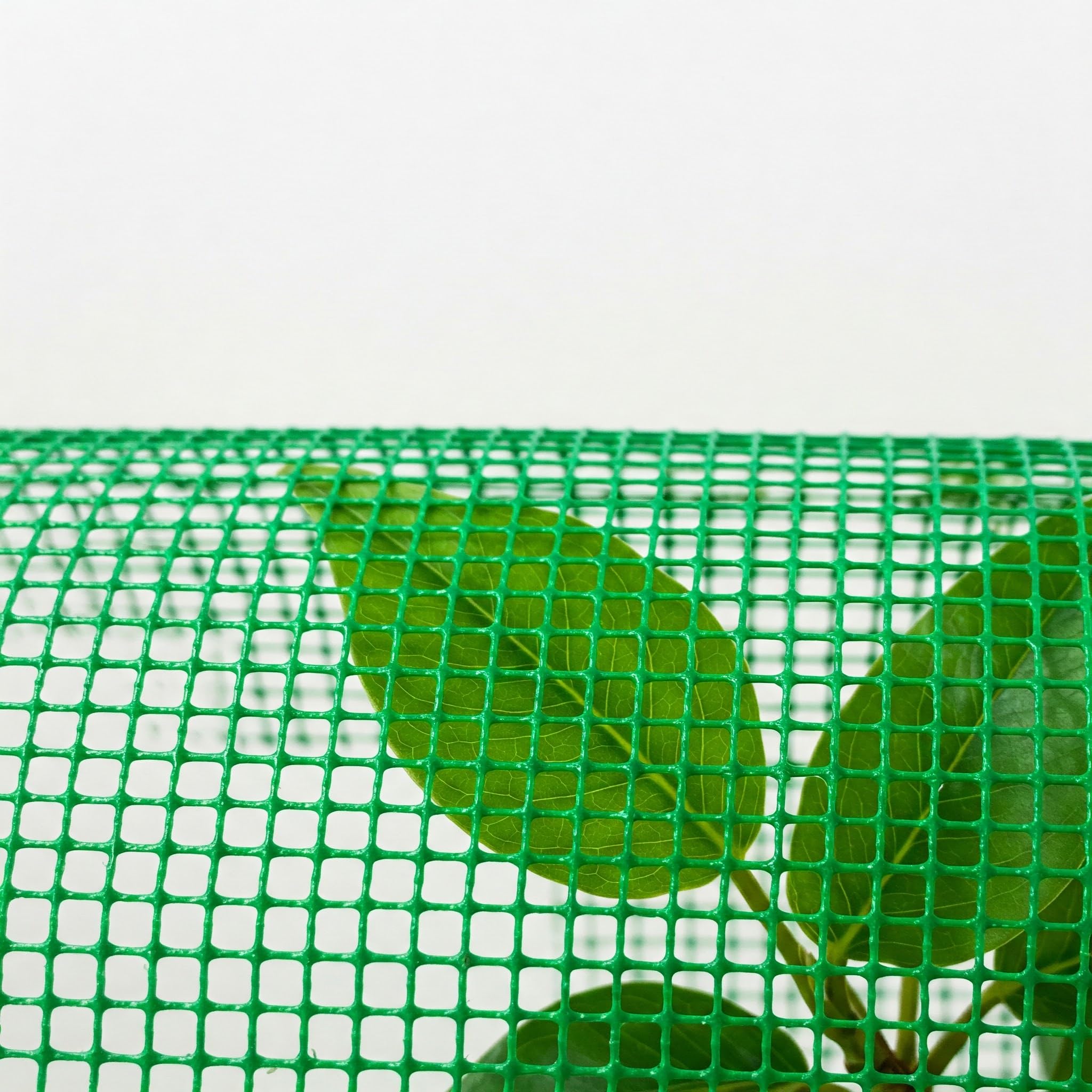 Bobina Malla Plastica Verde | Cuadricula 10mm | 1x30 Metros