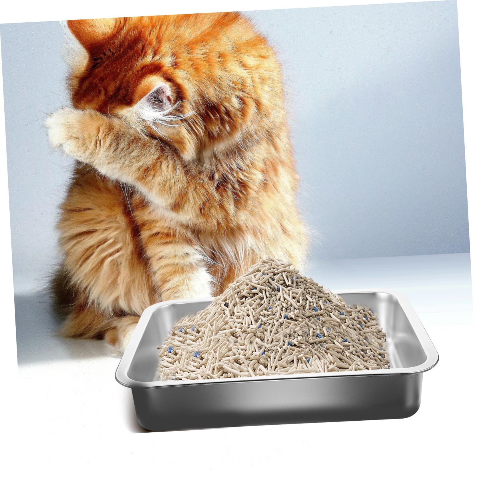 Toyvian Lettiera Gatto in Inox Aperto Capacità e Facile da Pulire, per Addestramento Gattini e Interno