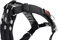 Vista 2 de Dive Rite Arnés Transpac XT