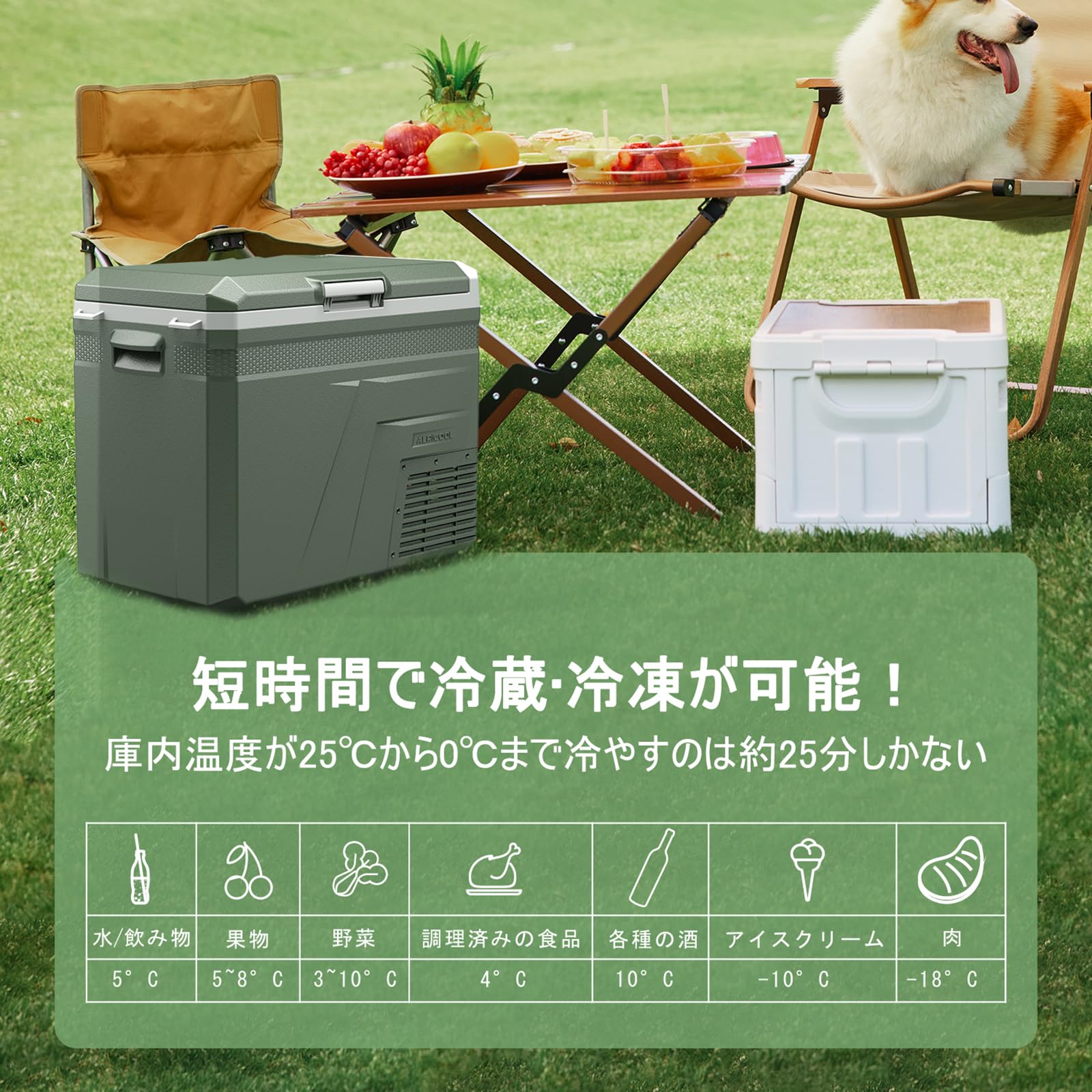 Amazon.co.jp: Alpicool 車載冷蔵庫 40L ポータブル冷蔵庫 2室 -20 