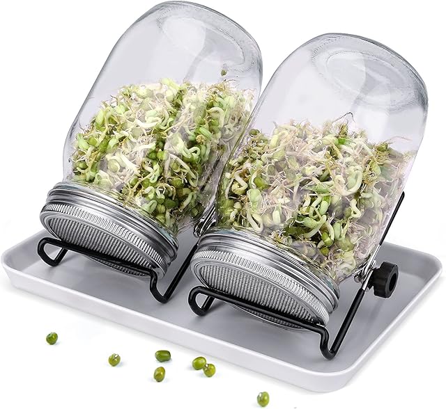Sprouting Mason Jars, Seed Sprouter Kit 2 Sprouting Mason Jars with Stainless Steel Strainer Lids Stands Germinator Set, Sprouting Jar Kit for Sprouting Seeds Broccoli Beans