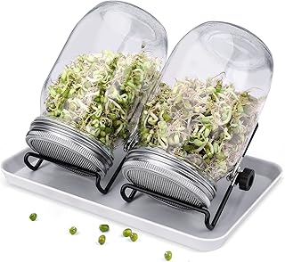 Demoyaya Sprouting Mason Jars, Seed Sprouter Kit 2 Sprouting Mason Jars with Stainless Steel Strainer Lids Stands Germinator Set, Sprouting Jar Kit for Sprouting Seeds Broccoli Beans