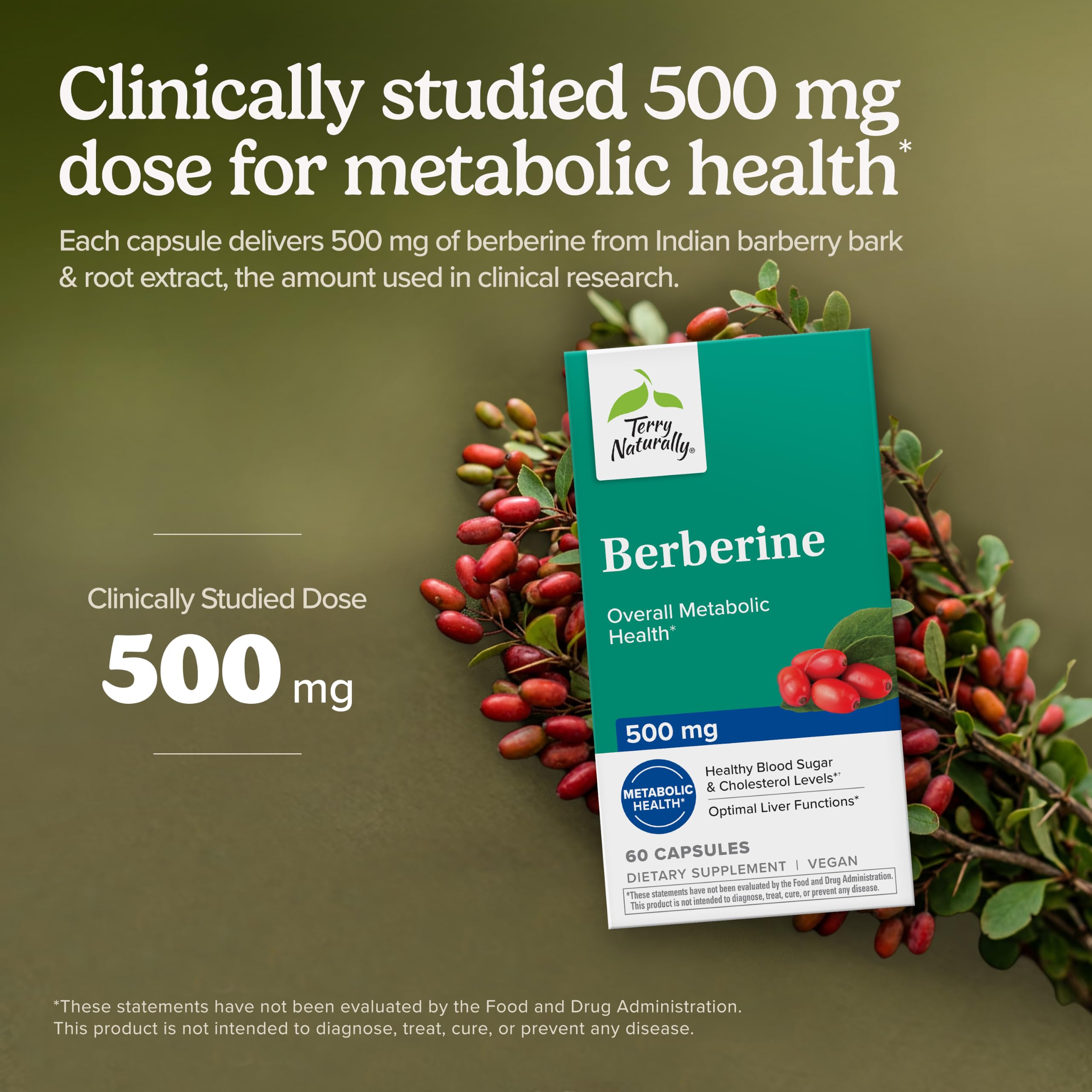 Terry Naturally Berberine - Metabolic, Liver and Blood Sugar - 60 Count — Amazon image 3