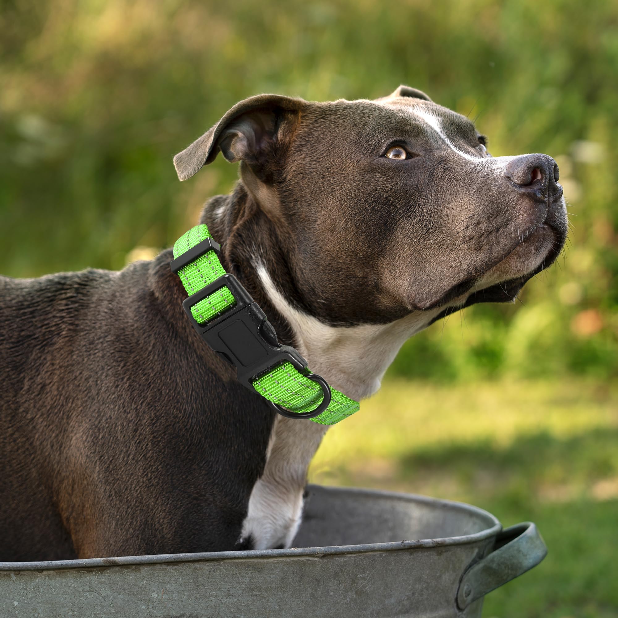 Mile High Life - Collare per cani, in nylon, con tre cinghie riflettenti 3M, colore: verde lime, blu, rosa, viola