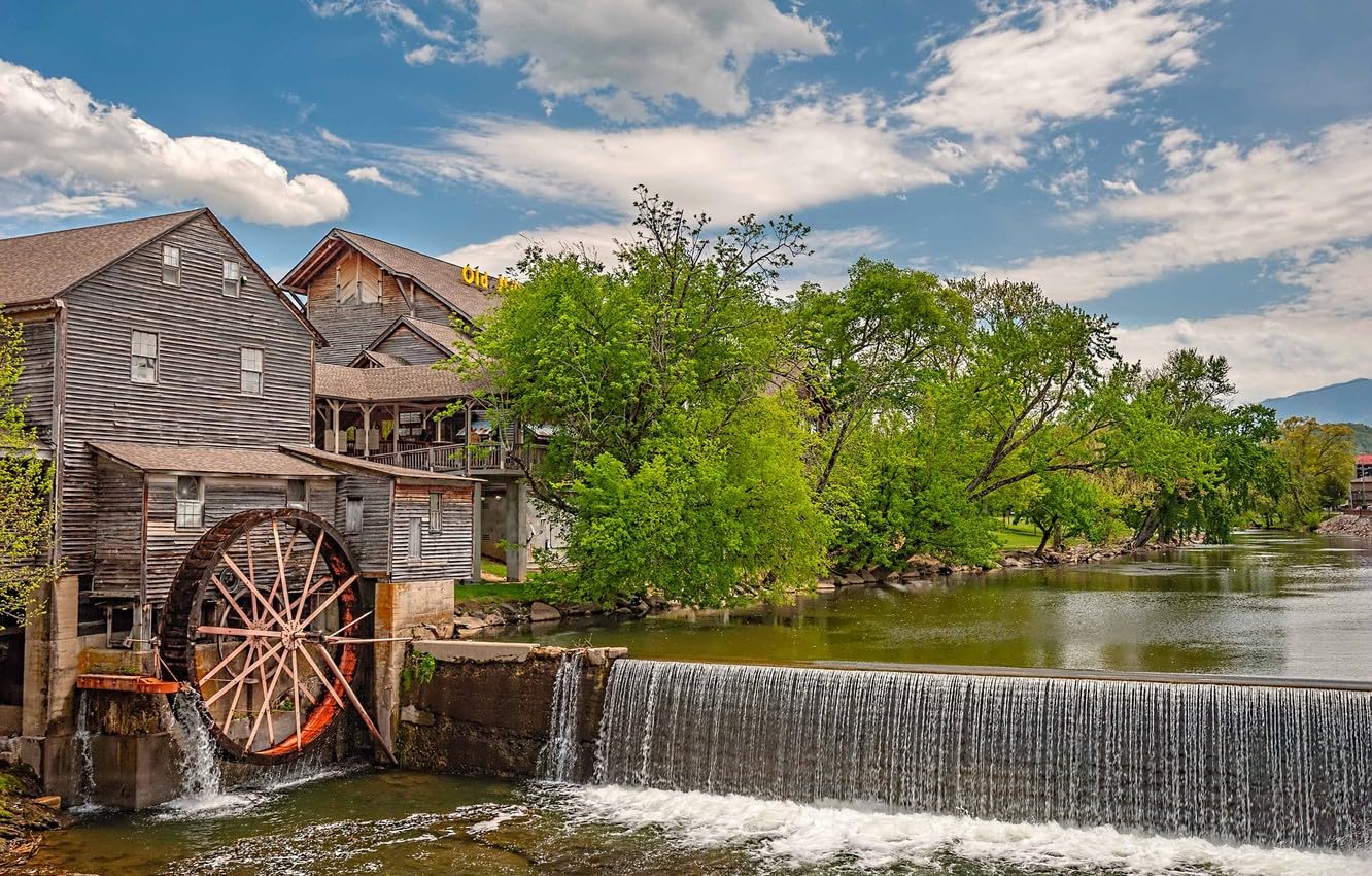 Jigsaw Puzzles for Adults 2000 Piece Jigsaws 2000 Pieces for Adults Gifts, Trees, Wheel, Water Mill 70x100CM
