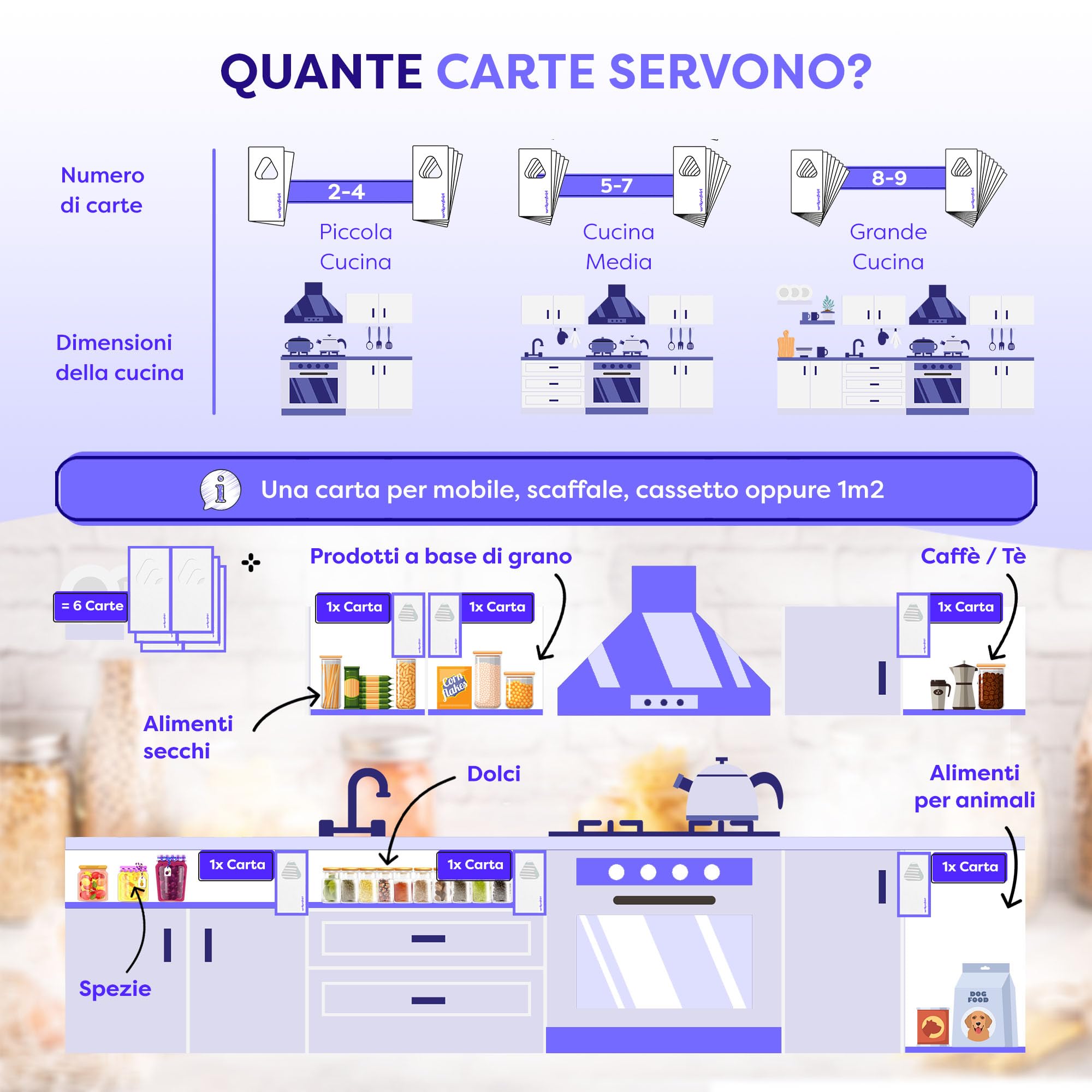 Wolkenfeld Vespe parassitoidi Contro Le tarme Alimentari – 10 Carte – Lotta Efficace e priva di Sostanze chimiche Contro Le tarme – Alternativa Naturale a trappole per tarme
