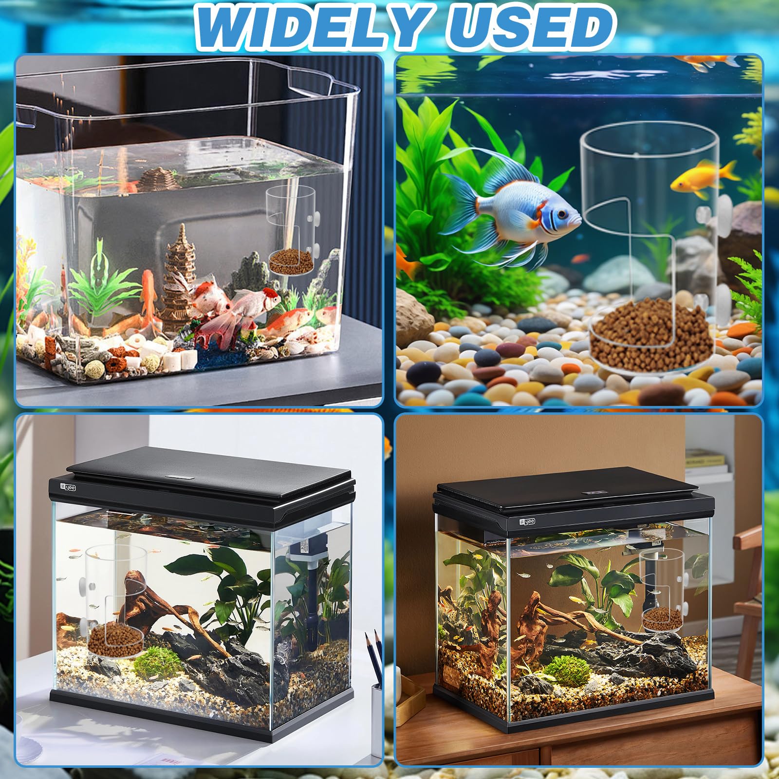 Mangiatoie per pesci d'acquario con ventosa divisore serbatoi accessori rotondi tartarughe gamberetti