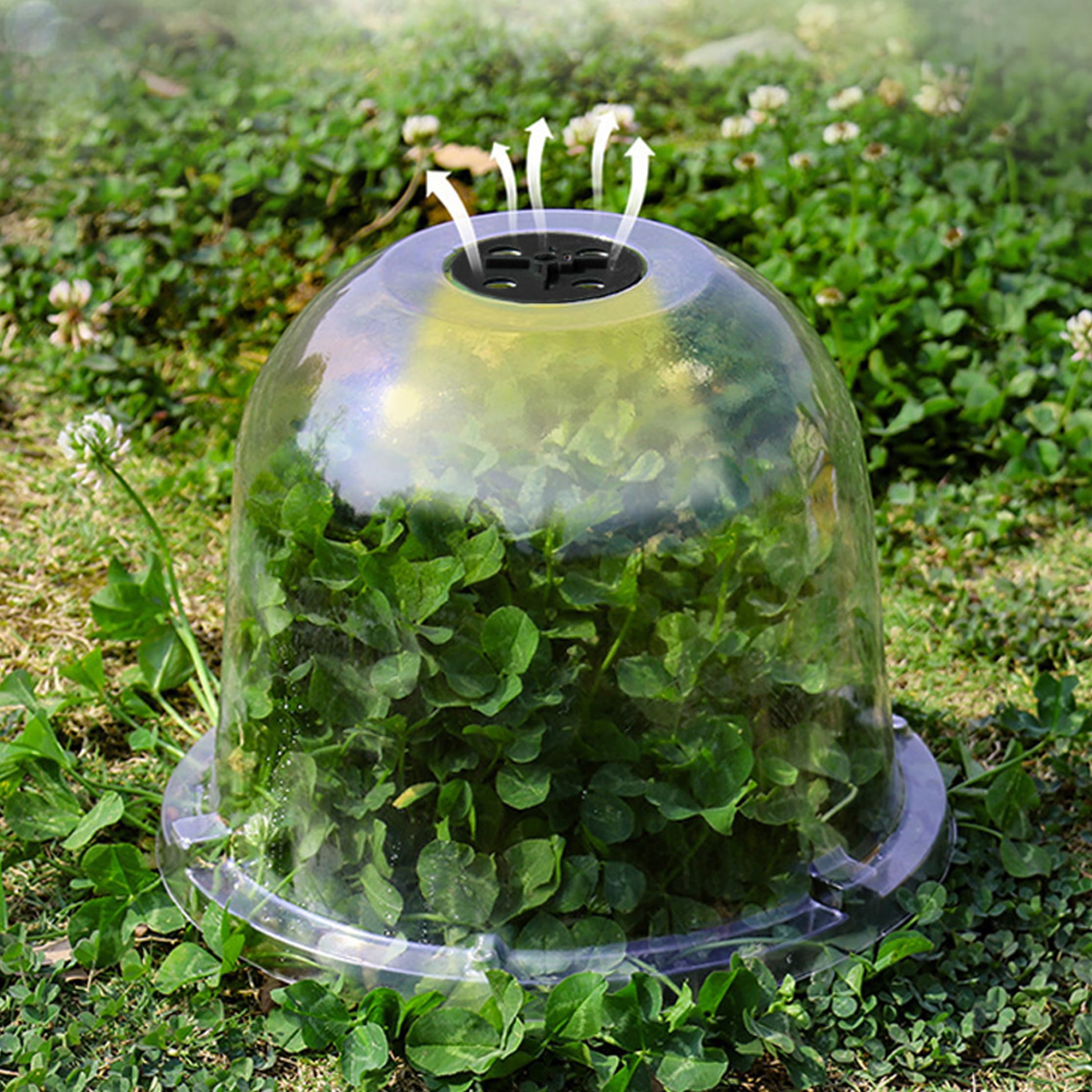 Cloche à Salade, Cloche de Potager, Cloches de Potager 12 pièces-Cloches à Salade en PVC réutilisables avec évent réglable, Transparentes