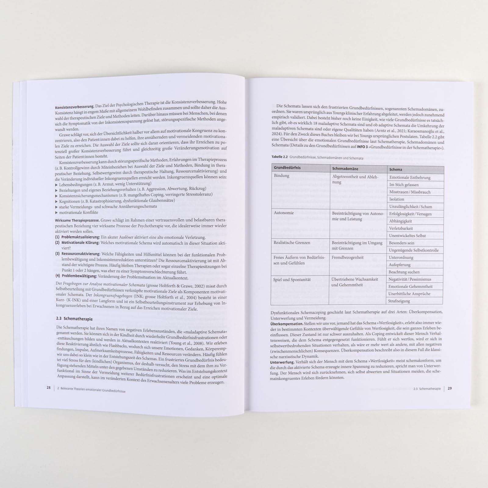 Therapie-Tools Emotionale Grundbedürfnisse: Mit E-Book inside und Arbeitsmaterial (Beltz Therapie-Tools)