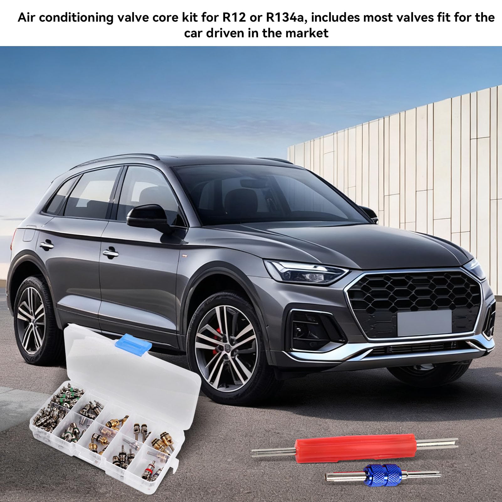 102PCS A/C Valvola Core R12 R134a Automotive Aria Condizionata Valvola Pneumatica Refrigerazione Steli Rimozione Strumento Kit Assortimento