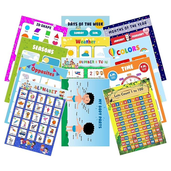 Buy Critom 12 Toddlers Educational Posters Kids Preschool Posters