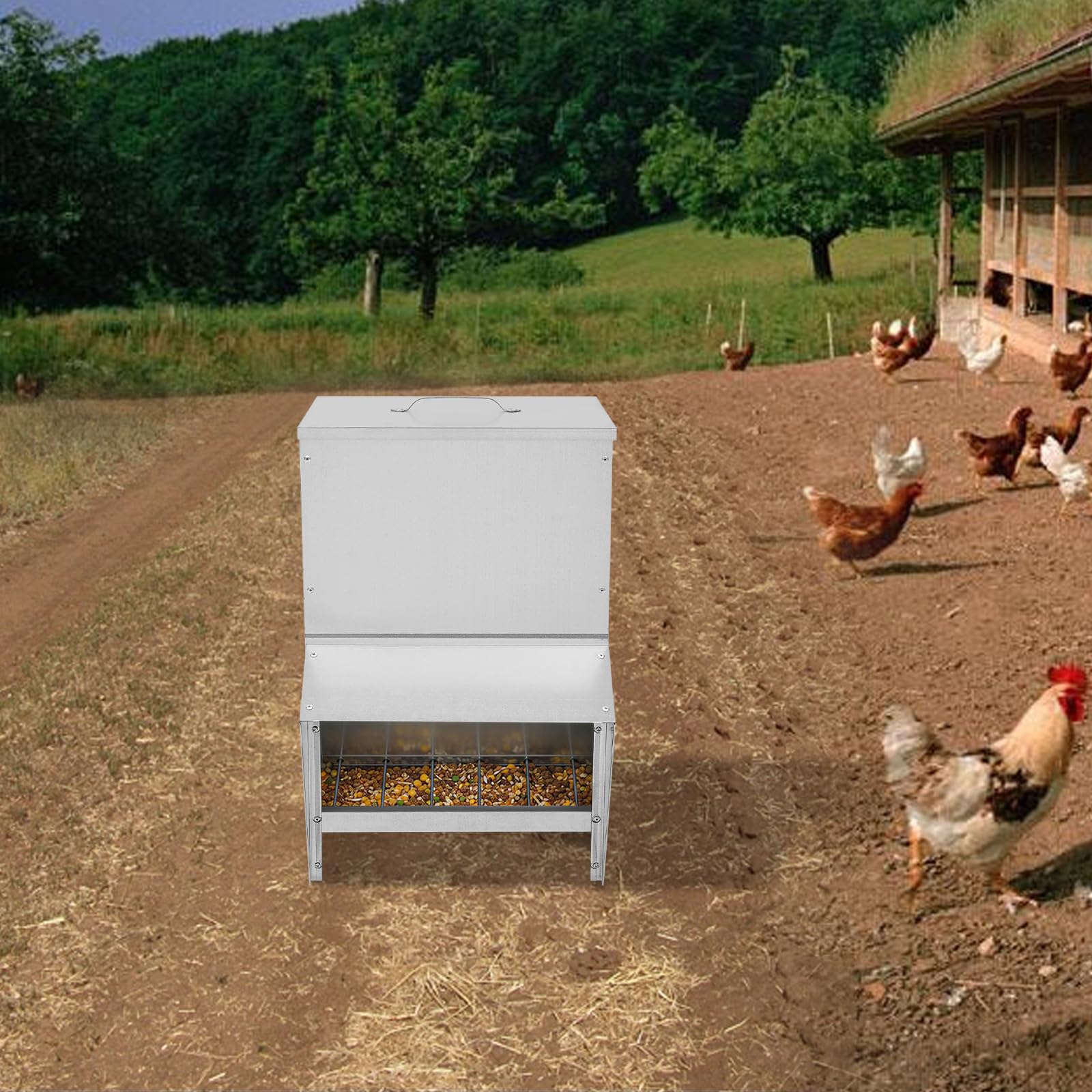 Alimentador de aves de corral de 25 L, 35 x 26 x 54,5 cm, comedero automático para pollos, gansos y patos
