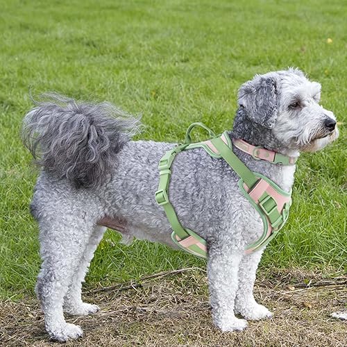 Miniatura 6 de Arnés sin tirones para perro, ajustable, suave, acolchado, chaleco para mascotas, con asa de control, adorable arnés diario para perros (rosa