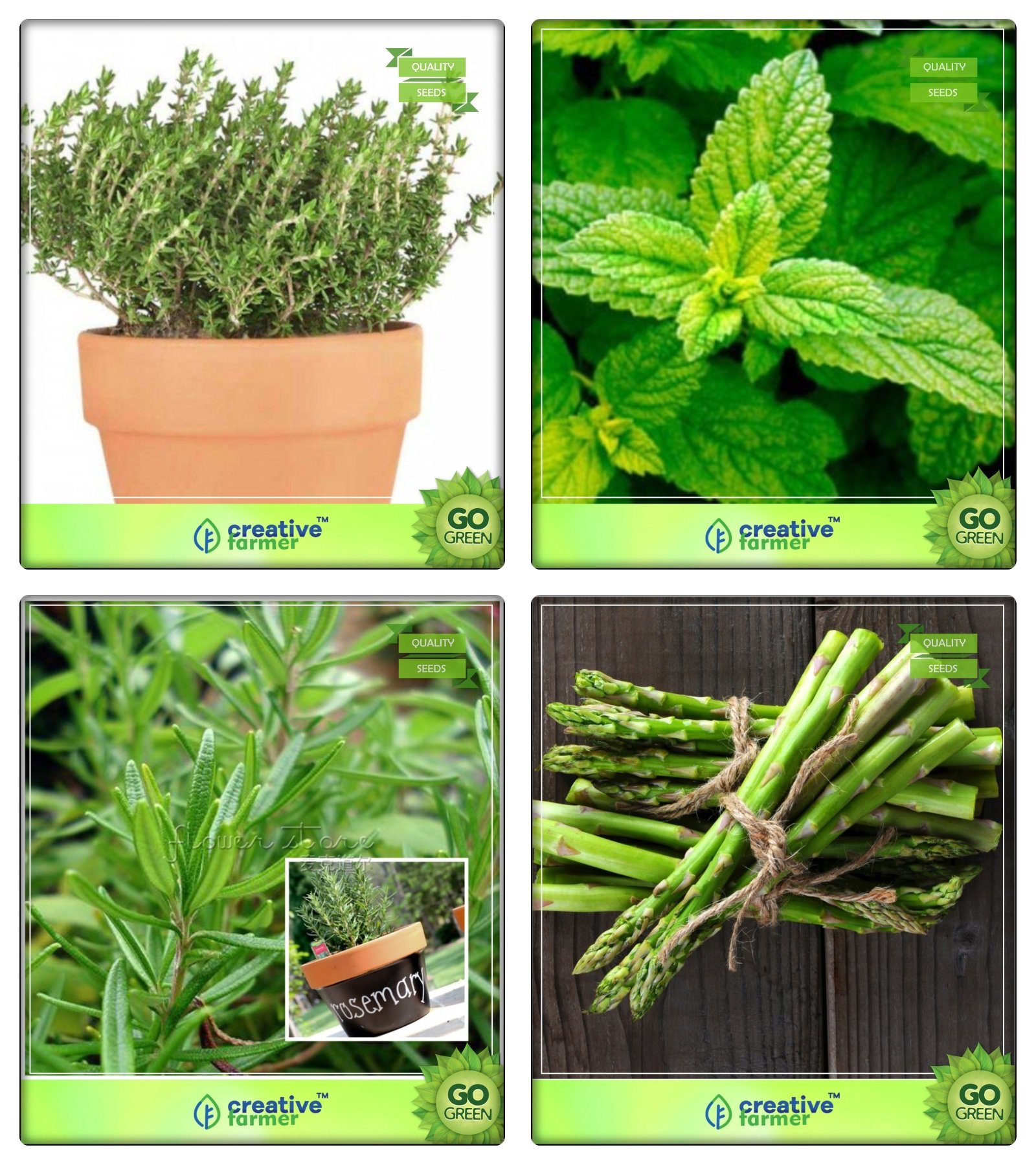 Creative Farmer Seeds Of Herbs Thyme English Winter, Lemon Balm, Rosemary, Asparagus Herb Seeds Combo Pack (B078V47R9K) Amazon Price History, Amazon Price Tracker