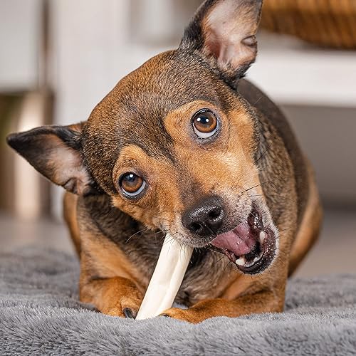 Miniatura 2 de Pet Factory American Beefhide - Mini rollos de golosinas masticables para perros, sabor natural, 14 unidades, 1 paquete