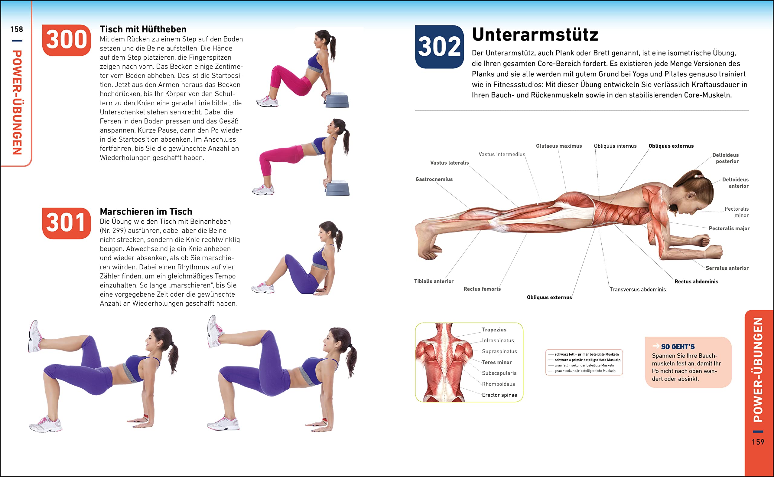 Die H.I.T.-Bibel: 500 hochintensive Übungen für Ihr Power-Workout